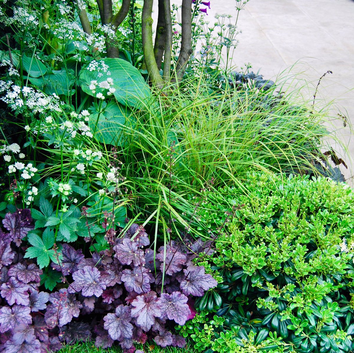 Now we’re all spending much more time at home, it’s a great opportunity to start planning our gardens. Whether that’s a planting revamp or a full redesign, keep an eye on my feed as I’ll be giving you tips and ideas to help you plan your garden 🌱