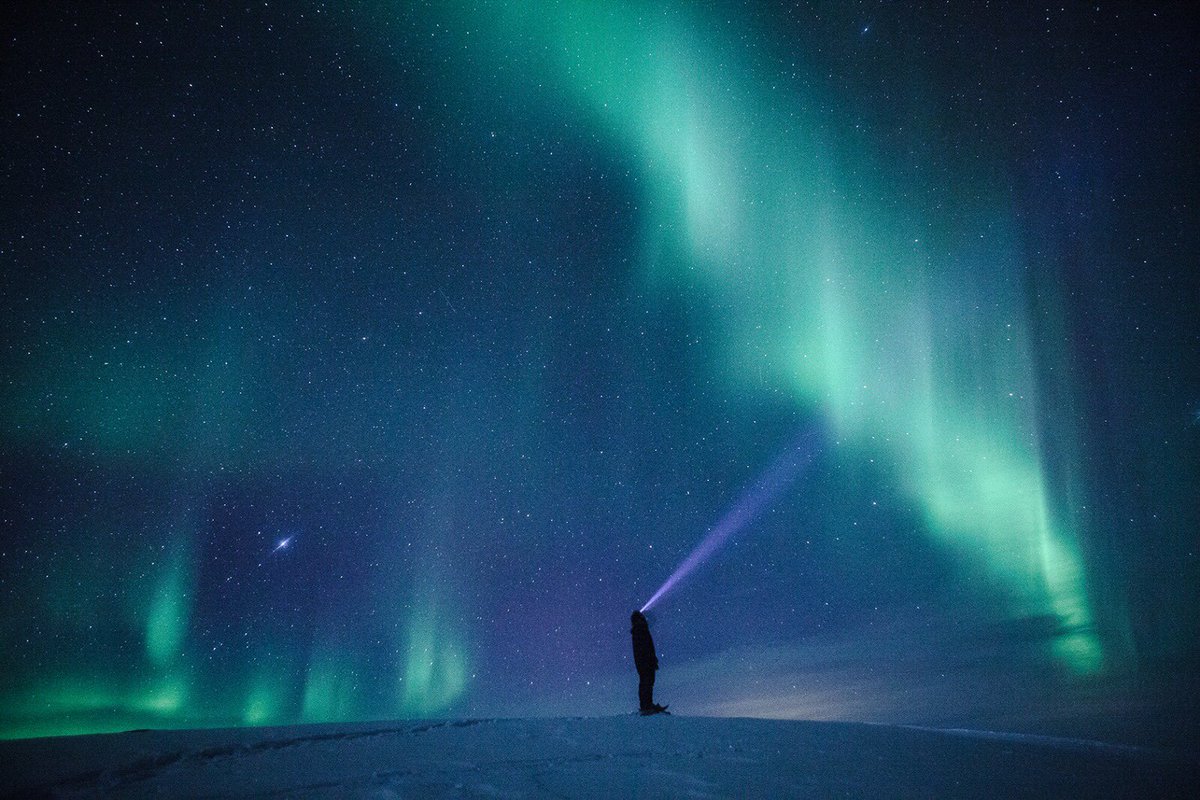 LTDV_'s tweet photo. Portfolio N•18
Grande immersion nature avec Antonin Charbouillot.
@charbs__adventurer_  
•
Ce photographe / explorateur/ auteur, est parti en totale immersion dans les régions intenses et reculées du Grand Nord. Actuellement dans notre numéro 18. 
#naturelovers #explorateur https://t.co/GWKGyORKOa