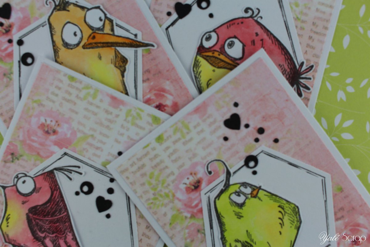 YaleScrap's tweet photo. Histoire de...: Série d'ATC {Crazy birds} https://t.co/SOVuE8gnBl https://t.co/5FyUVPwS72