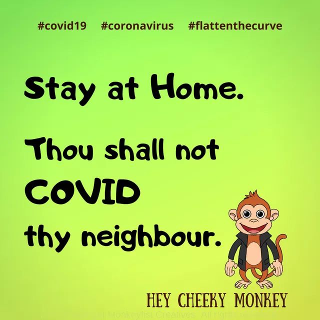 MuhammadLao's tweet photo. Exactly! 💯

Stay healthy and safe, everyone!

Let's help each other flatten the curve! 📉

God bless us all! 😃🙏❤️💯

#StayAtHome
#Coronavirus 
#Covid19Out 
#FlattenTheCurve https://t.co/Y4huSZAtc1