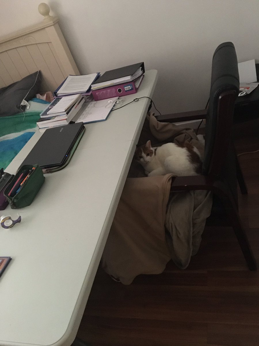 First one to class= teacher’s pet. Or is she just warming up Kamryn’s seat