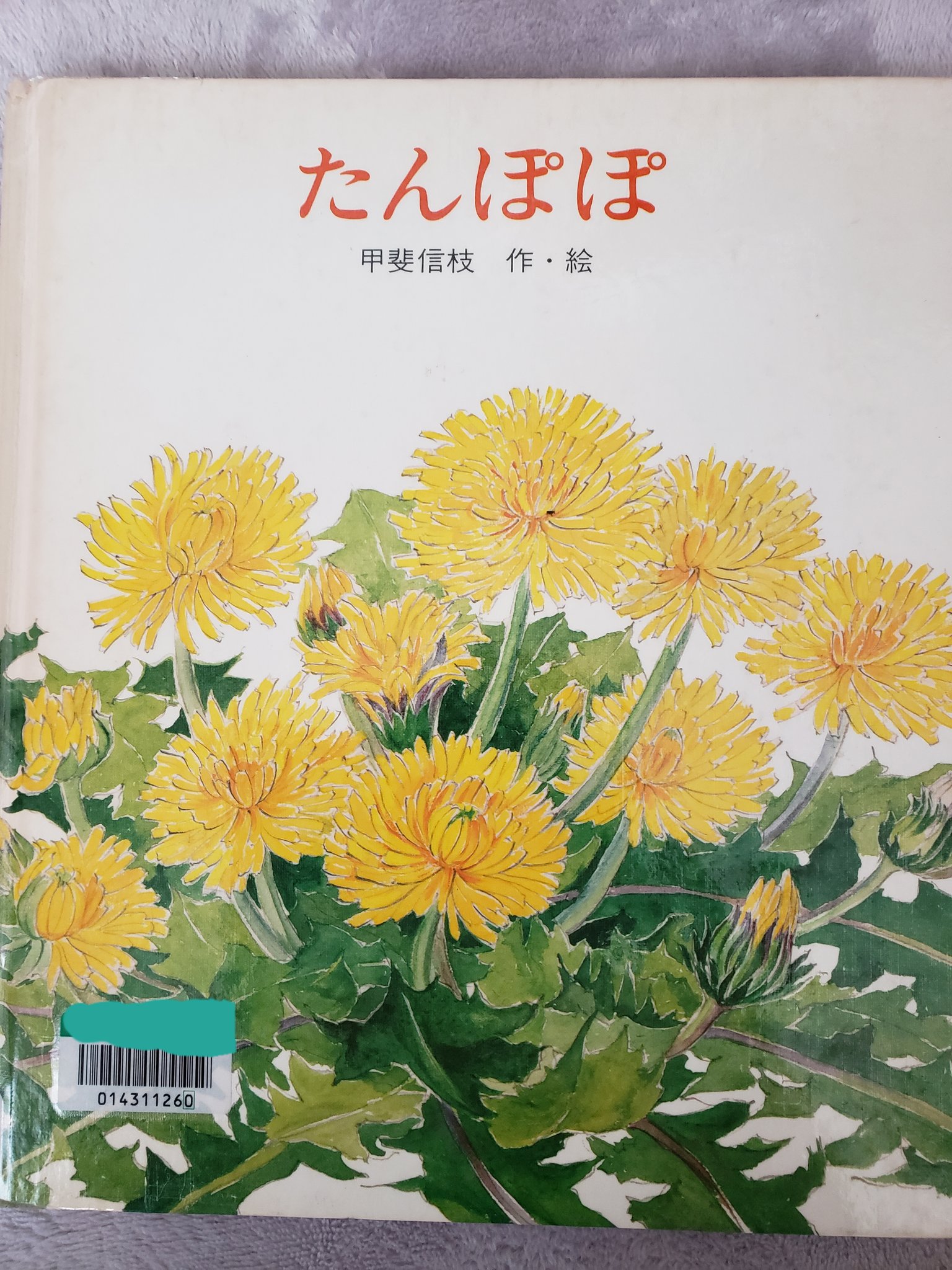 みっちー たんぽぽ 甲斐信枝 作 絵 金の星社 こちらを読んで 綿毛が開く所を見たいと息子