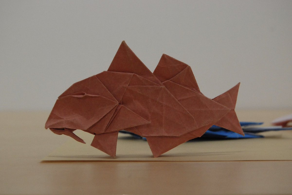 UnivOrigami's tweet photo. 【アーカイブ】

「オジサン」
創作者：荒川
制作者：荒川
紙種類：ファーストヴィンテージ25cm×25cm

魚らしくない名前ですが、れっきとした魚の一種のようで、下顎の髭、それから目がとても可愛い！ https://t.co/Lht93M17CH