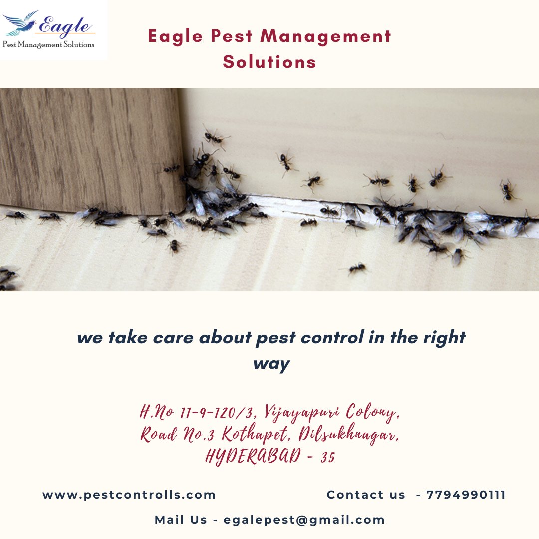 Eagle Pest Management Solutions (eagle_pest_ctrl) Twitter