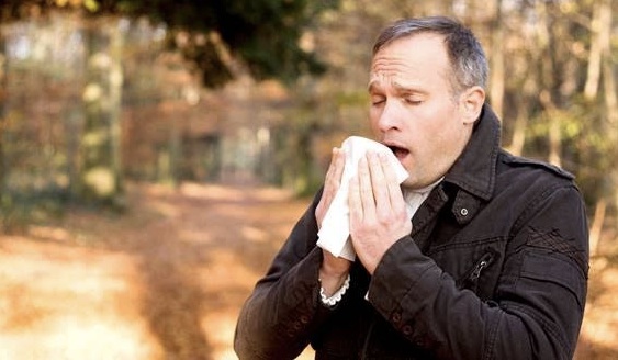 MedicalFacts |  Hooikoortspatienten in lastig parket door bloeiende es en berk dlvr.it/RT1SCF via <a href="/medicalfacts/">MedicalFacts</a>