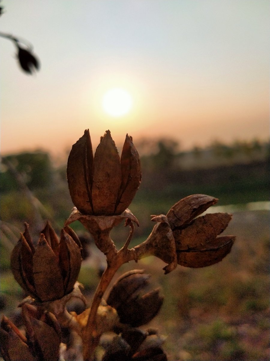 nut_jer's tweet image. คนเราชอบพูดคำว่า“เข้าใจ”ในสิ่งที่ไม่เข้าใจ
แล้วชอบพูดคำว่า“ไม่เป็นไร”ในสิ่งที่เข้าใจเป็นอย่างดี🥀