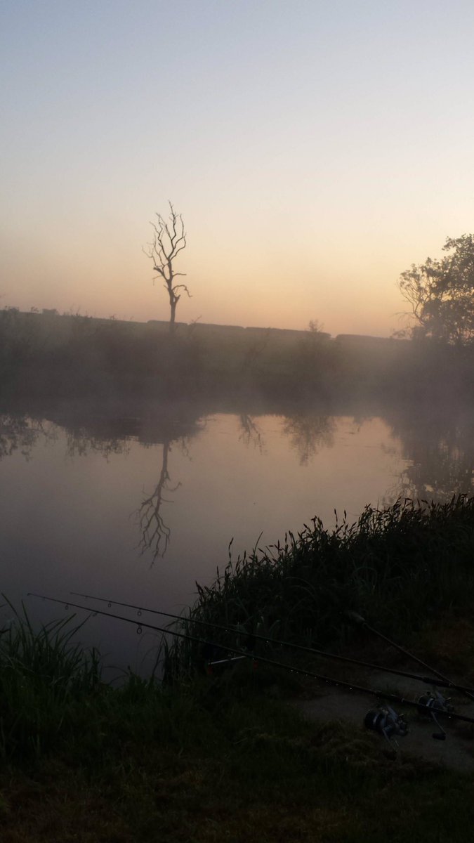 WBMCarpFishing's tweet photo. Misty sunrise in May 2018
#ThrowbackThursday #tbt #missingfishing https://t.co/TssWykhv2D