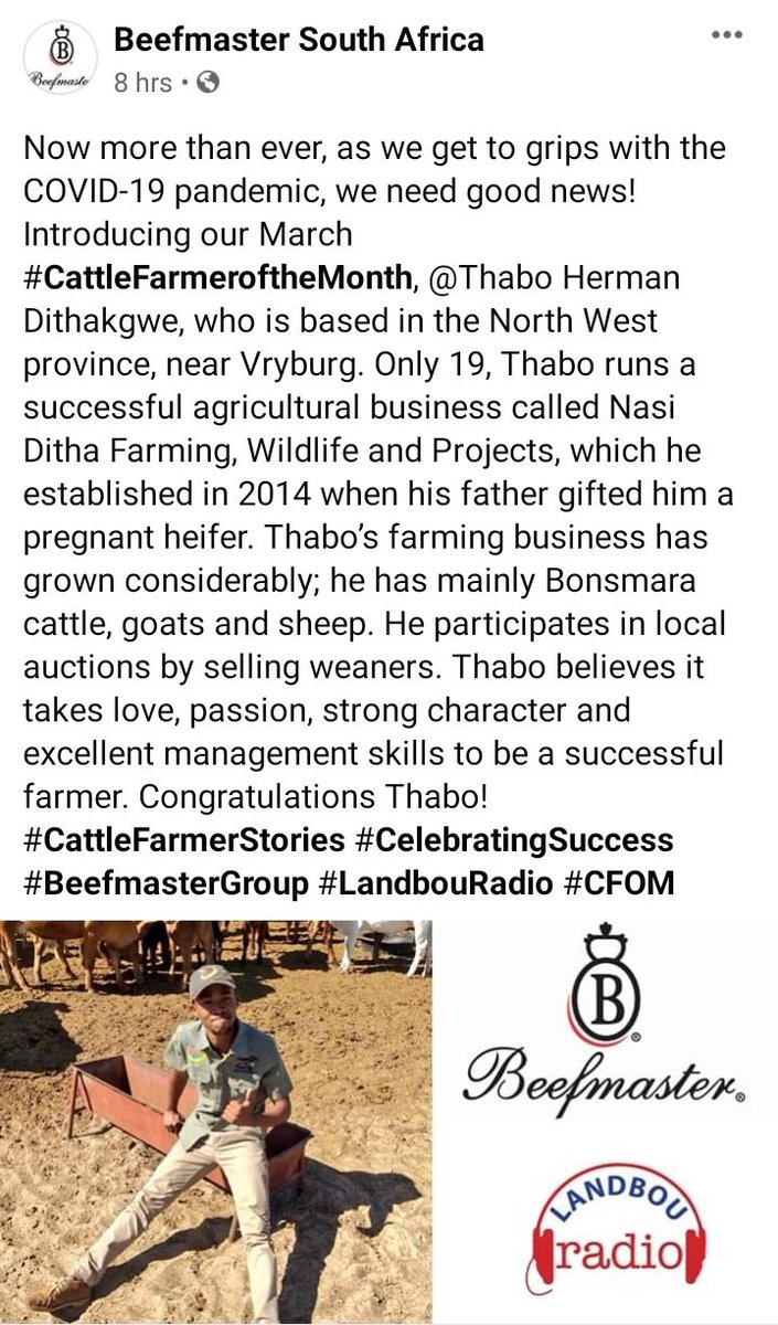 ThaboDithakgwe's tweet photo. Thank you @BeefmasterSA for the feature . We surely need good news during this pandemic. Proudly South African Beef Producers 🇿🇦

I am the March #CattleFarmeroftheMonth 

#MolopoFarmers #BeefmasterSA #YoungFarmers #ThursdayMotivation #BeefProduction https://t.co/hE34xY0DnV