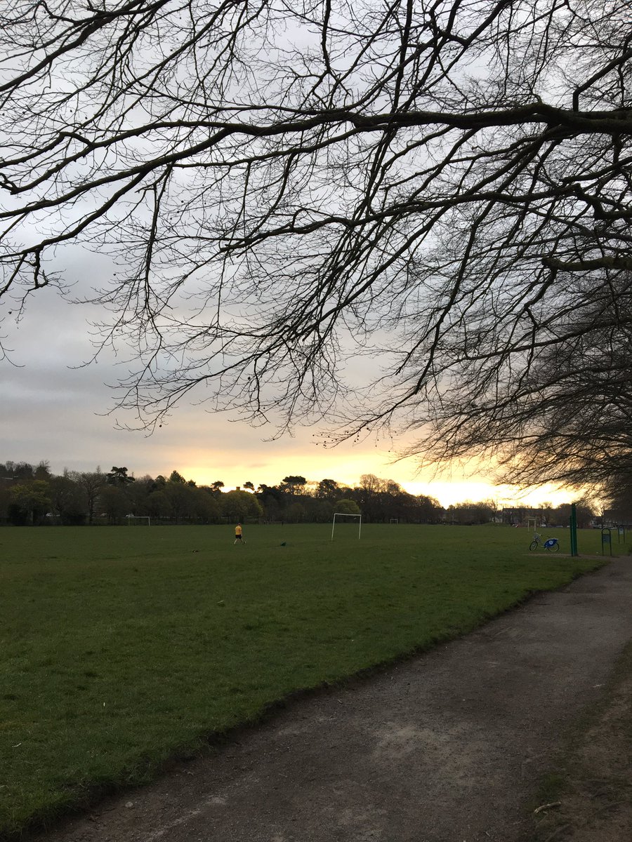 illustrator_eye's tweet photo. Today’s early morning loveliness. A glimmer of sun and a pop of purple. #lockdown #smallpleasures #onerunaday https://t.co/u5GRdo8Mnx
