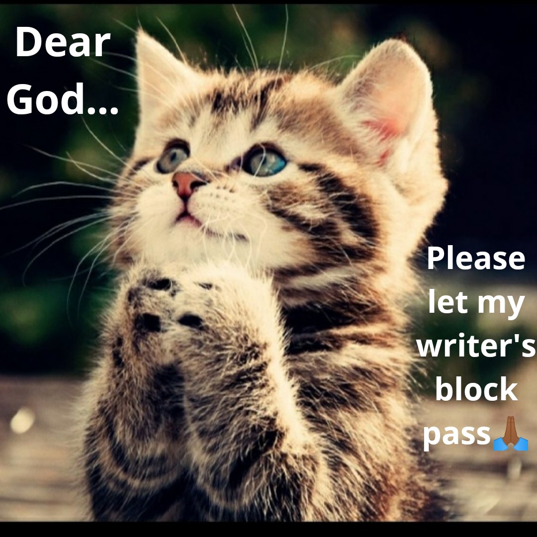 blackwriter__'s tweet photo. https://t.co/vD84ZcmsHH