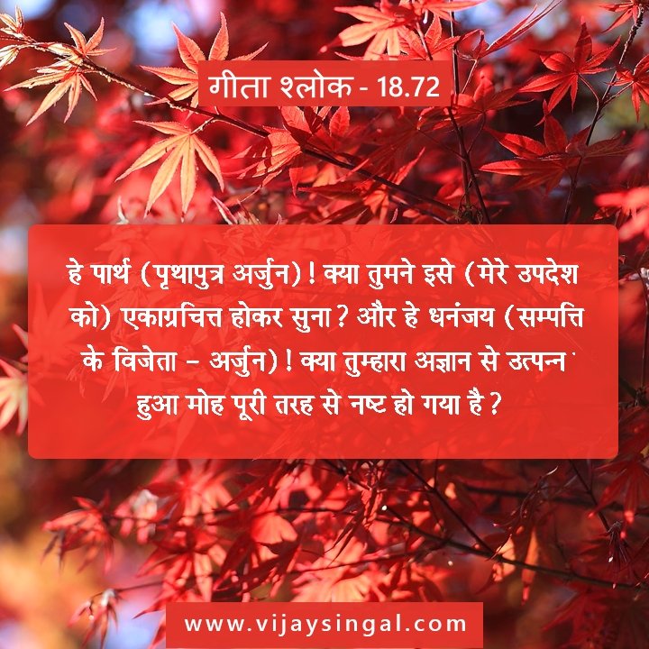 Gita Shloka 18.72
#BhagavadGita #gyan #GitaShlokas
#Gita #life #success #solution
#Religious #vijaysingal #book
#Translation
#Shloka
Click vijaysingal.com