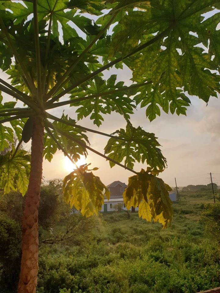 Future_of_Taru's tweet photo. We thank you as always for your continued help and support. The Kenyan government has closed schools for a month and we are continuing to plan for the future of all the pupils of Future of Taru #ThursdayThoughts #InThis2gether #community #lockdown #coronavirus #Cumbria #Kenya https://t.co/3kY29Icvuv