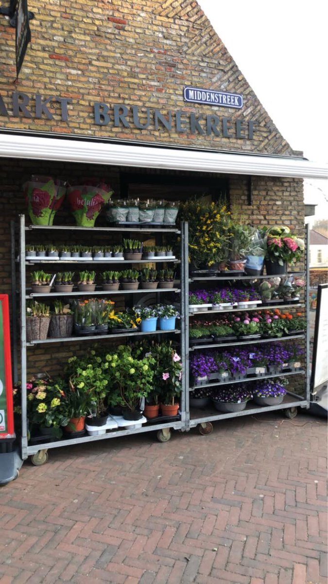 Wij zetten de bloemen en planten buiten , u ook?