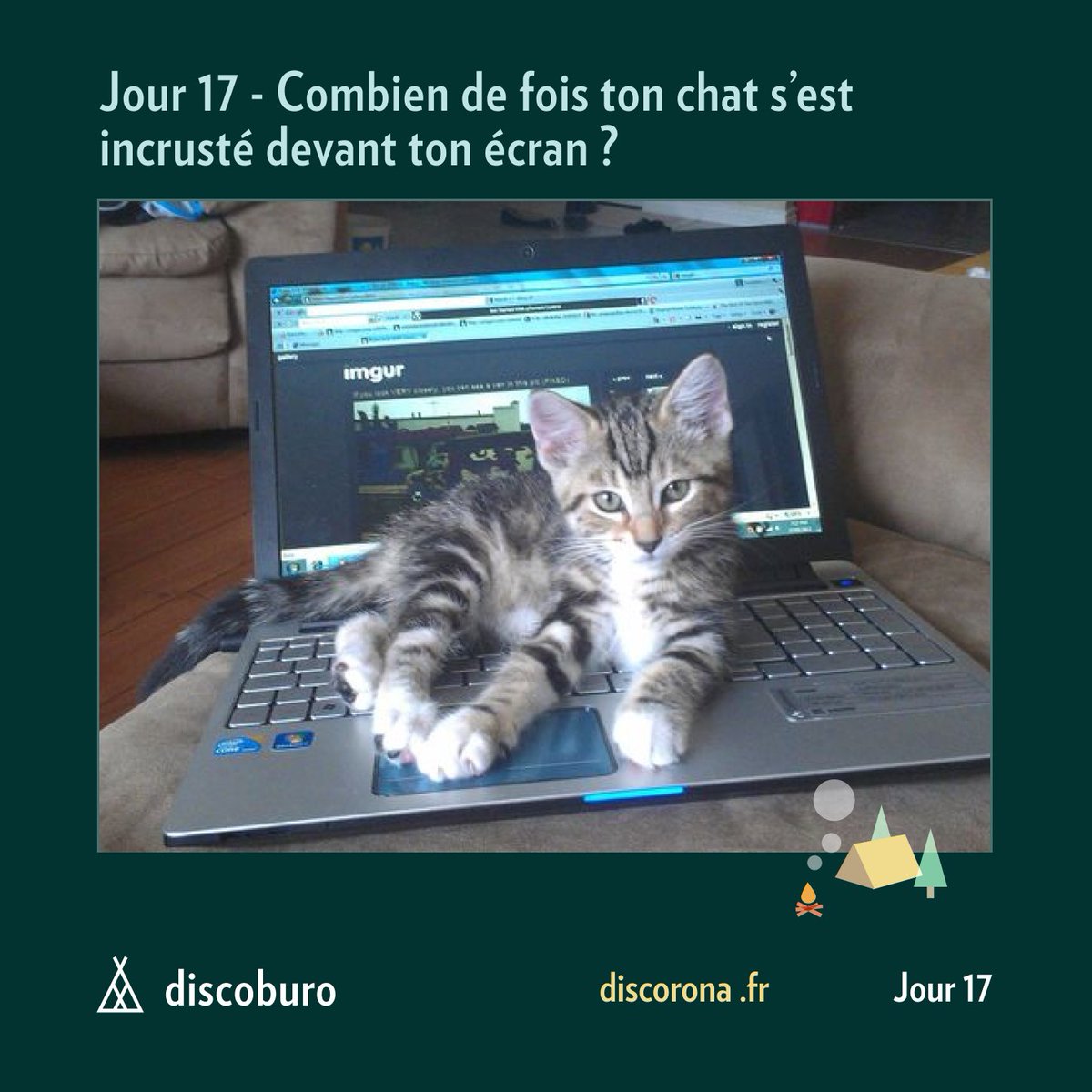 Nous avons une pensée pour les propriétaires de chats qui sont en #teletravail. 
Car, aussi mignons qu'ils soient, ils peuvent aussi être très envahissants. 🐈

Combien de fois ton chat s'est-il incrusté devant ton écran?

RDV sur👉discorona.fr
#Confinementjour17