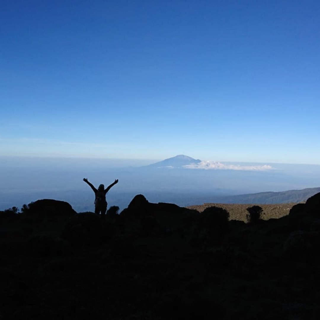 Discover Adventure tweet media