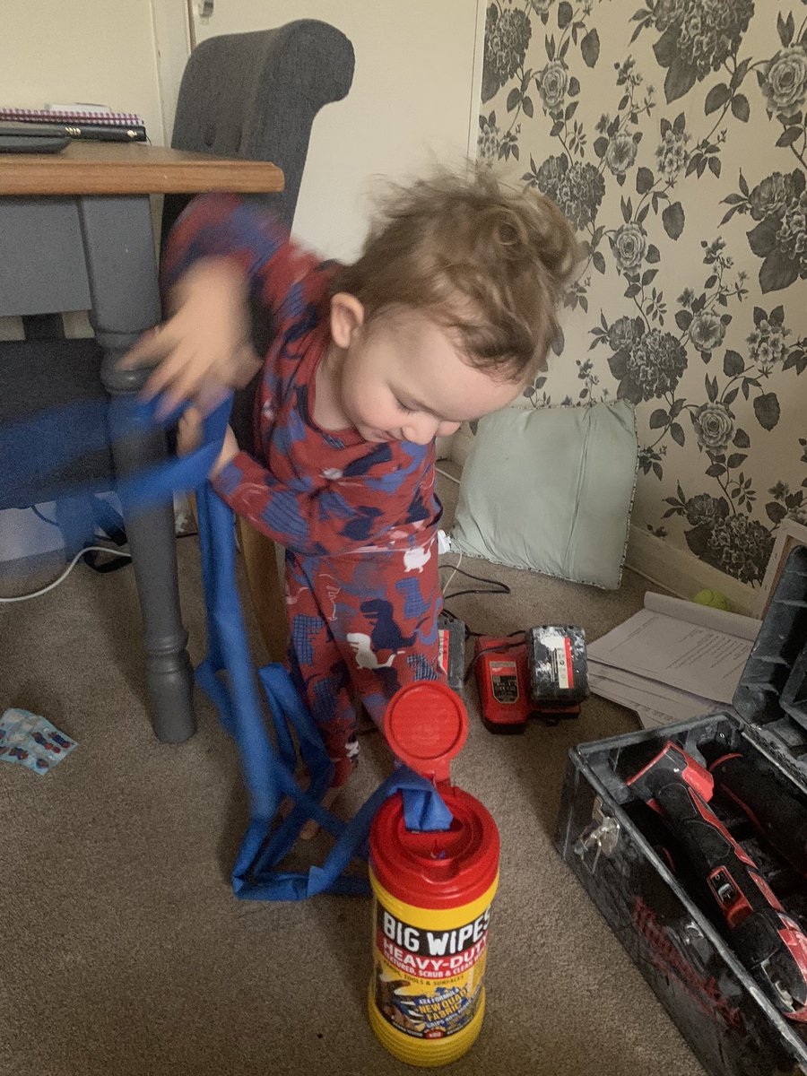 Andy_J_Mayar's tweet image. Caught in the act, forgot to put tools away and @BigWipes away and this monkey found them this morning and decided to see how many he could pull out. 
#bigwipes
#cleantools