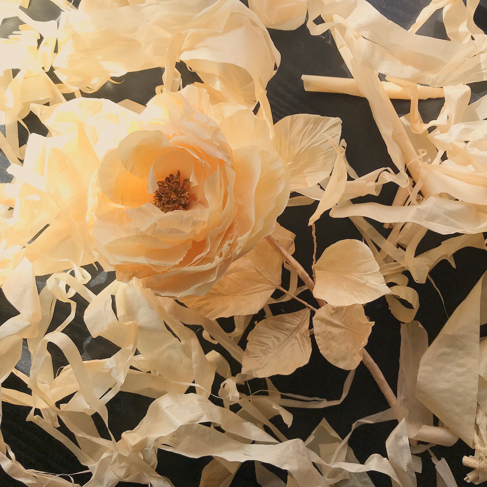 Satomi カンナ屑で花咲かせたよ 花弁一枚一枚丁寧に ゴミアート カンナ屑 カンナ屑アート 花 ハンドクラフト 手作り バラ 木 Woodart T Co Pr0r6fpdiy Twitter Satomi カンナ屑で花咲かせたよ 花弁一枚一枚丁寧に ゴミアート カンナ屑 カンナ屑アート 花 ハンドクラフト 手作り バラ 木 Woodart T Co Pr0r6fpdiy Twitter