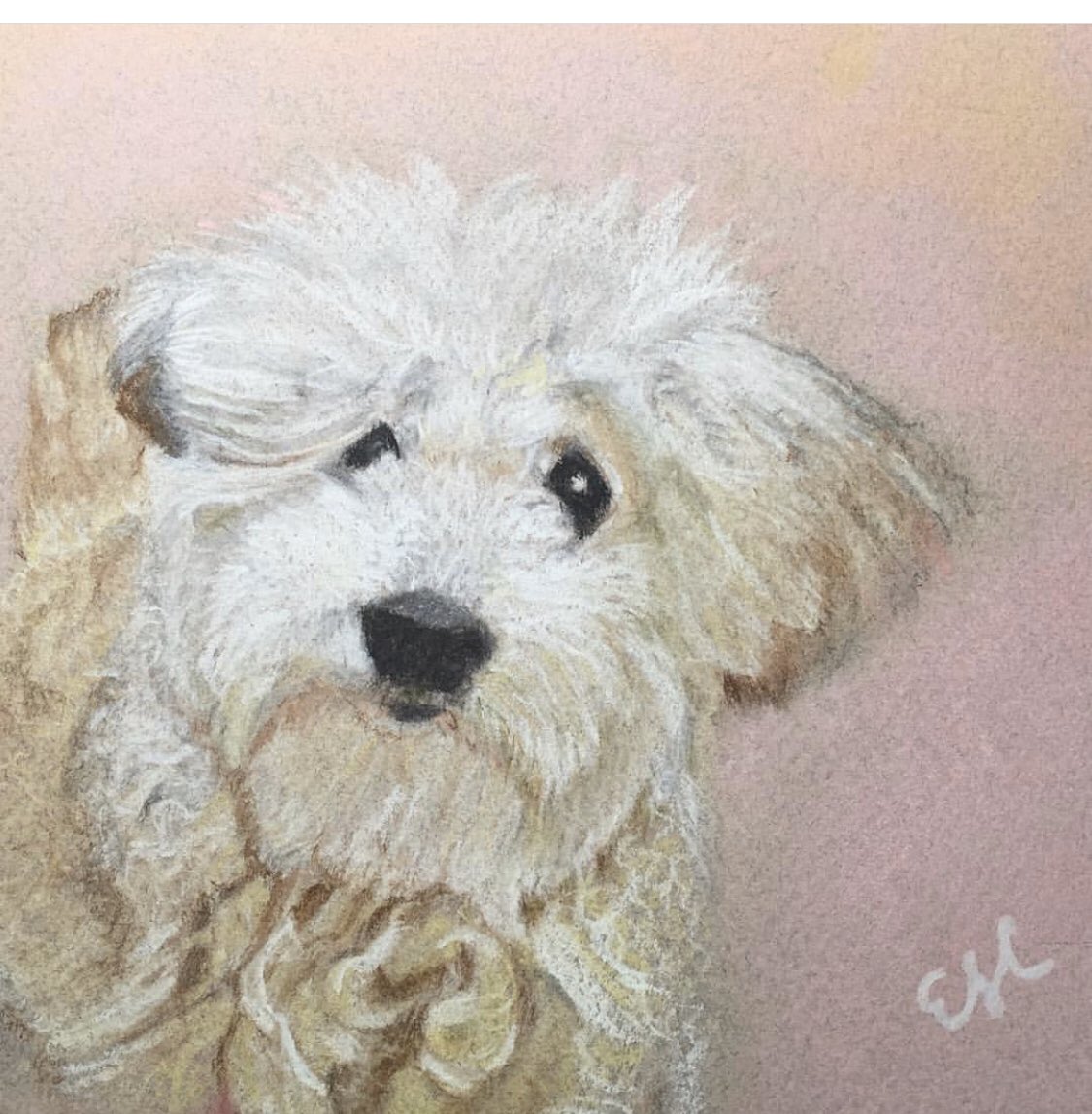 Free2Color's tweet image. 