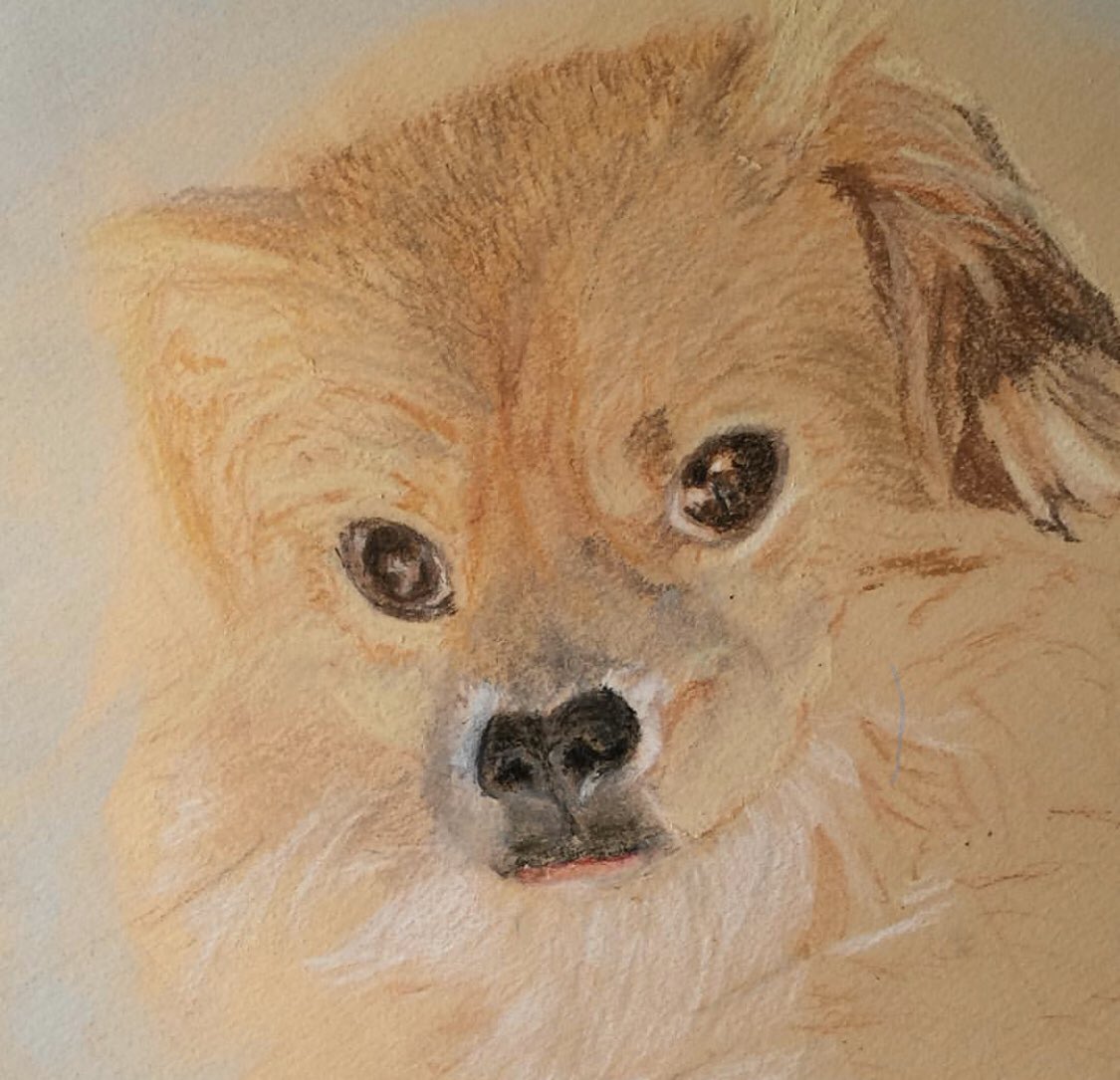 Free2Color's tweet image. 