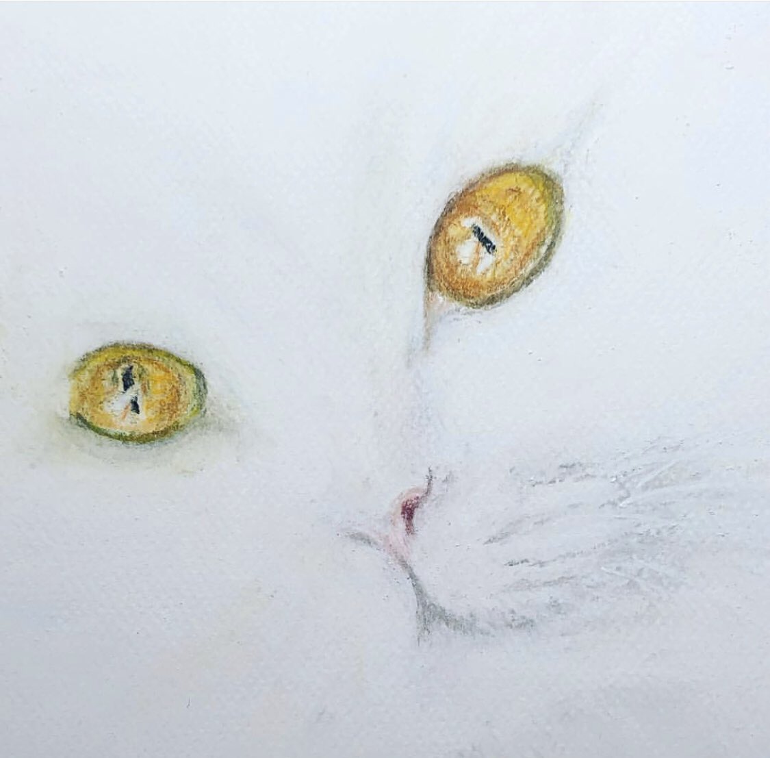 Free2Color's tweet image. 