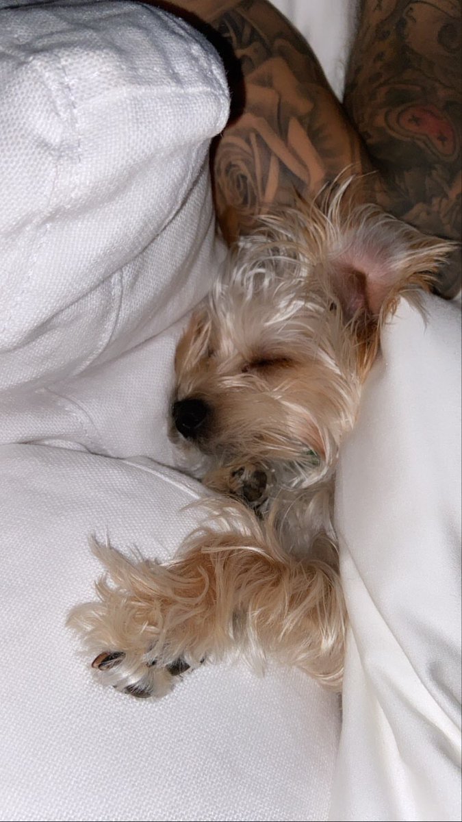 Hailey Bieber via Instagram Stories: