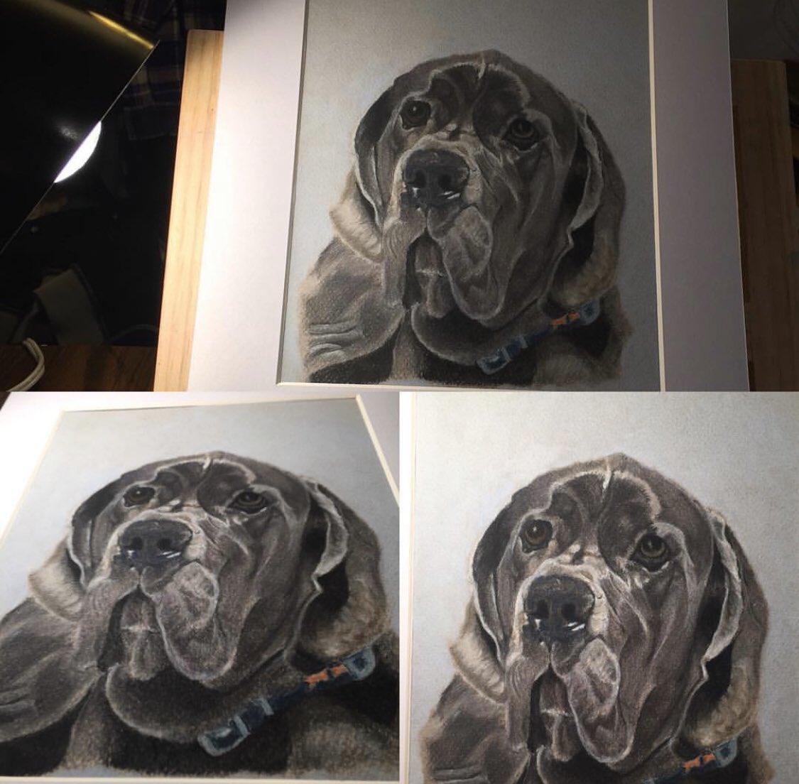 Free2Color's tweet image. 