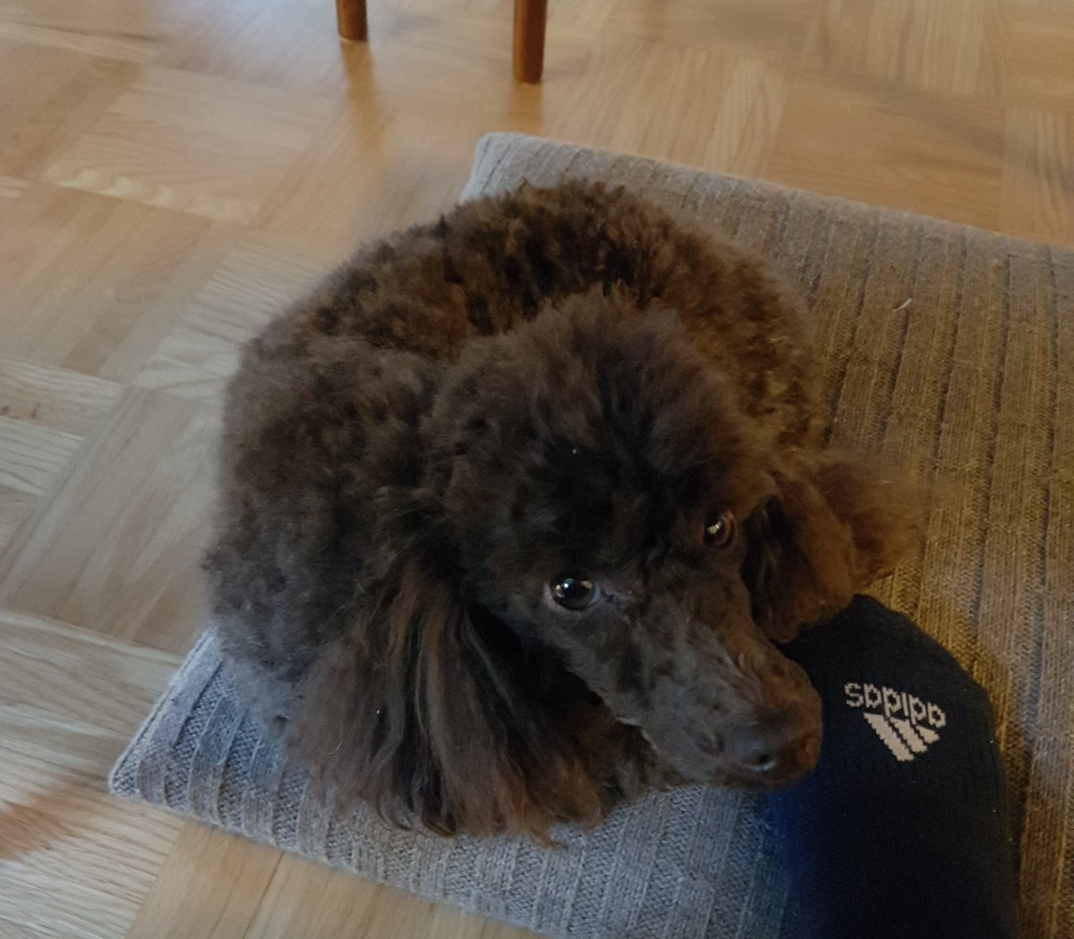 Day 3/7 #mylifeinpictures Rules: no words, no people, nominate 1 new each day. I was nominated by <a href="/AntilaElina/">Elina Antila</a> and <a href="/p_lindell/">Paula Lindell</a>, todays nomination, anyone who feels like it.