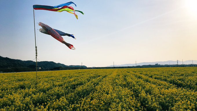 Twitterのコスプレ画像28