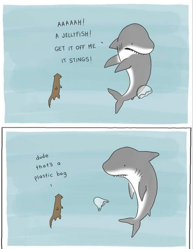 OceanScenic's tweet photo. You may see the difference, but they dont... #StopUsingPlasticBags https://t.co/NMD2u7IUWe