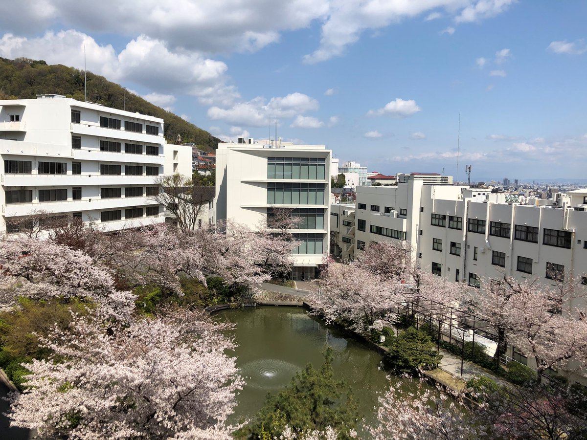 神戸 薬科 大学 偏差 値