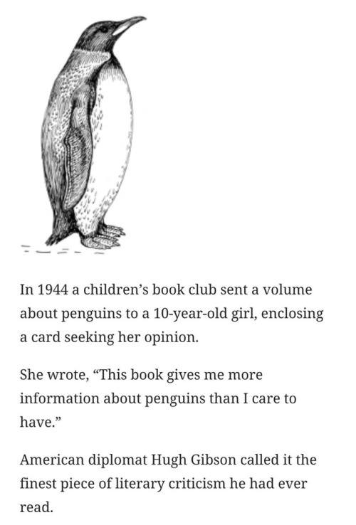 weirdwithwords's tweet photo. probably my all time favorite image https://t.co/mUUSgVP1VC