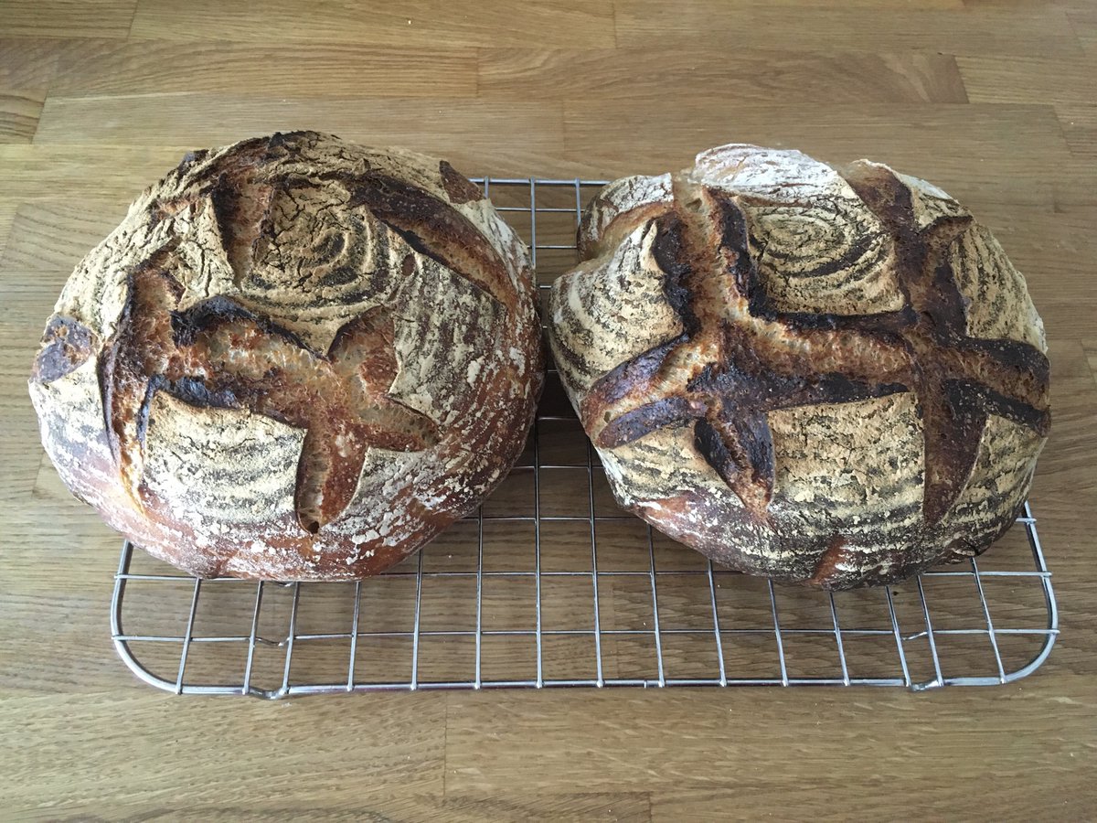 mrgn_eats's tweet photo. 🍞55: Field Blend No. 1
White flour, White Rye, Whole wheat. 75% hydration.
It’s another hybrid, sourdough and 3gr. dried yeast.
#fwsy https://t.co/B3e4aC5wUs
