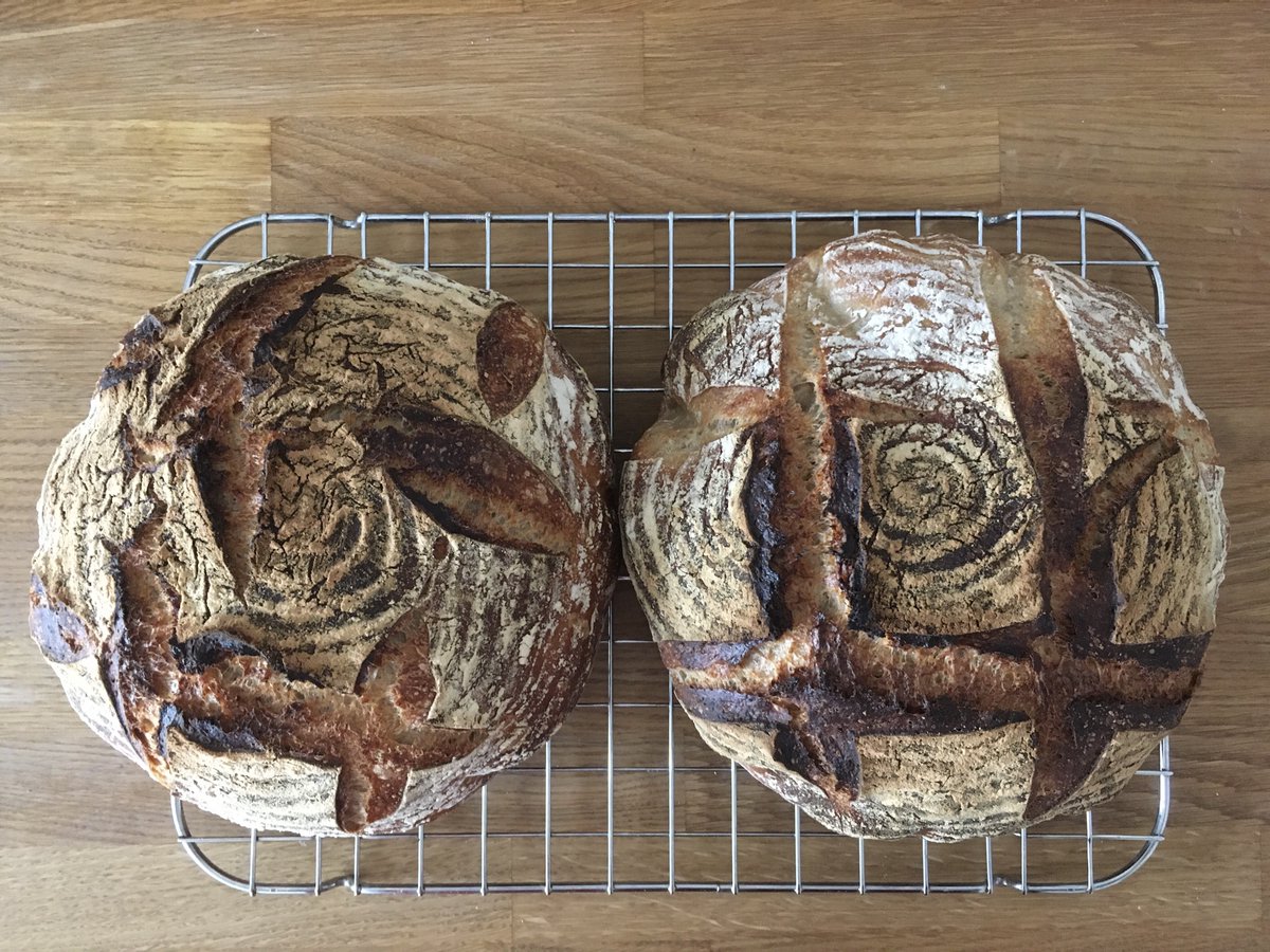 mrgn_eats's tweet photo. 🍞55: Field Blend No. 1
White flour, White Rye, Whole wheat. 75% hydration.
It’s another hybrid, sourdough and 3gr. dried yeast.
#fwsy https://t.co/B3e4aC5wUs