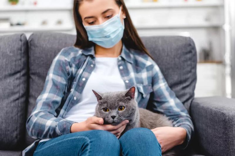 📌Специально для наших читателей мы нашли ответы на самые актуальные вопросы в период пандемии.

Подробно: plavsknews.ru/news/plavchane…