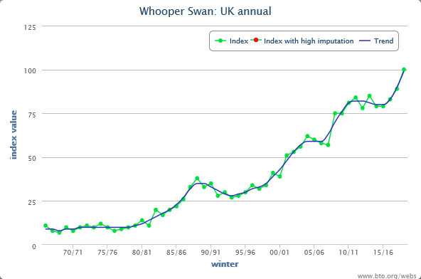 A tale of two swans - today’s WeBS report shows that the Whooper Swan has index again reached its highest ever value, while Bewick’s Swan remains at historically low levels.  http://www.bto.org/webs-annual-report  #WeBSReport  @JNCC_UK  @RSPBScience  @WWTconservation  @_BTO