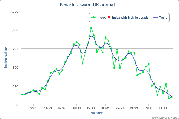 A tale of two swans - today’s WeBS report shows that the Whooper Swan has index again reached its highest ever value, while Bewick’s Swan remains at historically low levels.  http://www.bto.org/webs-annual-report  #WeBSReport  @JNCC_UK  @RSPBScience  @WWTconservation  @_BTO