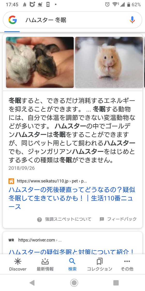 あっきぃー 大半のハムスターは冬眠できないらしい 笑 まなみんというハムスターは年中冬眠するらしい あっきぃー 大半のハムスターは冬眠できないらしい 笑 まなみんというハムスターは年中冬眠するらしい