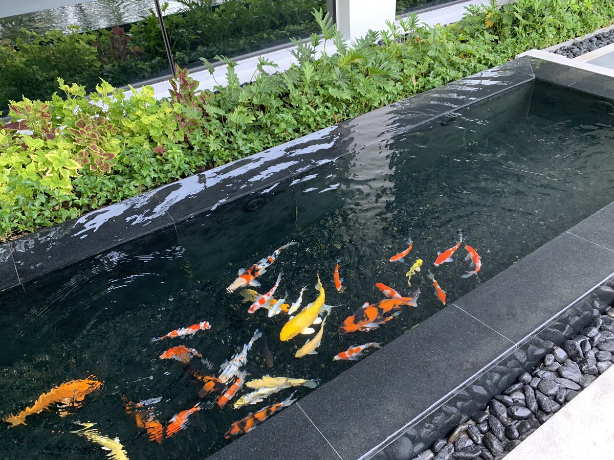 nu_anuchitj's tweet photo. ช่วงนี้น้องคราฟ คงจะเหงา https://t.co/q4zgMoJjDA