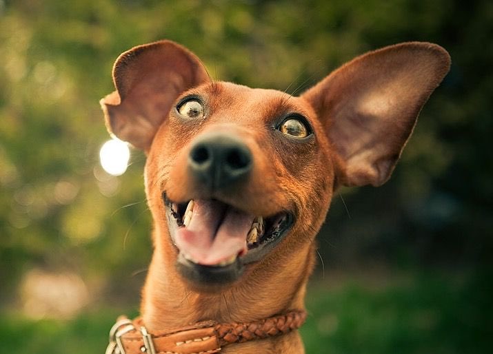 When your tax year end work is out the way and you have a new clients financial plan to put together!