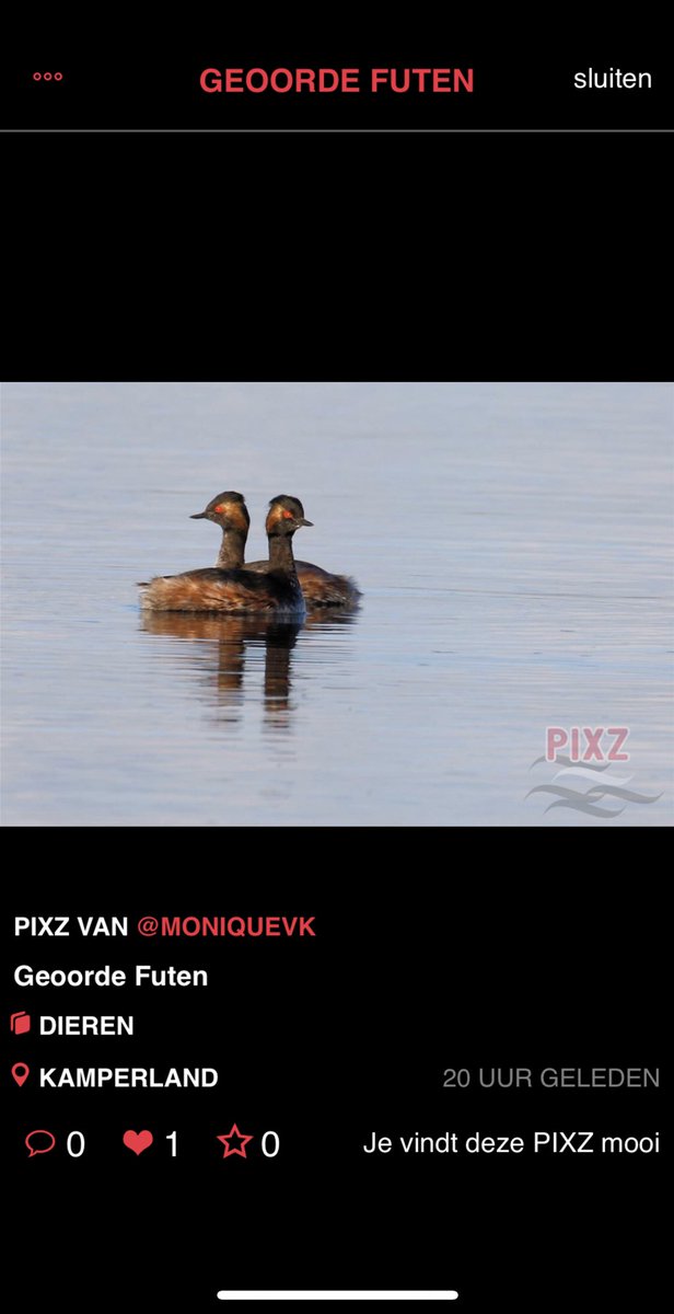 Ken je onze app eigenlijk al 📲? Hierin staan de mooiste foto’s van Zeeland! Gemaakt door trotse Zeeland inwoners en fans 🤩!

Download gratis in de App Stores ✅ #PIXZ #PIXZeeland #Zeeland #PhotoSharing