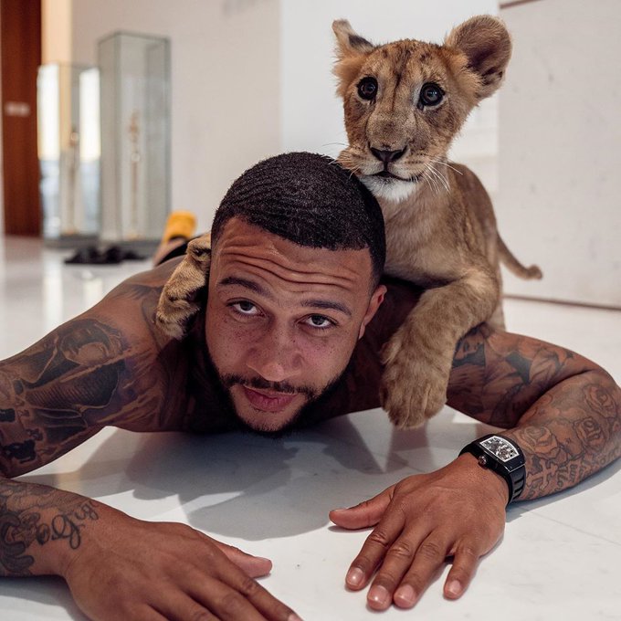 Footballtweet's tweet photo. Memphis. 🦁 https://t.co/I1m17q9rQp