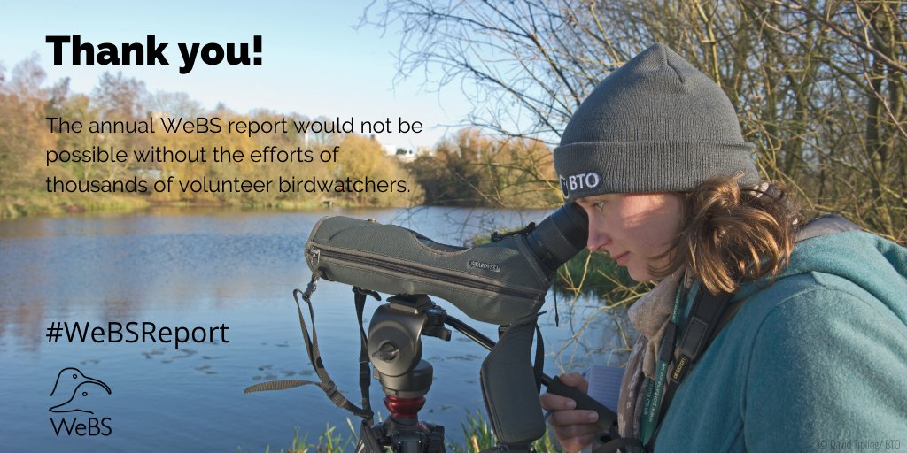 As always, this year’s WeBS report would not have been possible without the priceless efforts of 3,290 volunteers, making 39,617 count visits during winter 2018/19. THANK YOU!  http://www.bto.org/webs-annual-report  #WeBSreport  #CitizenScience  @JNCC_UK  @RSPBScience  @WWTconservation  @_BTO