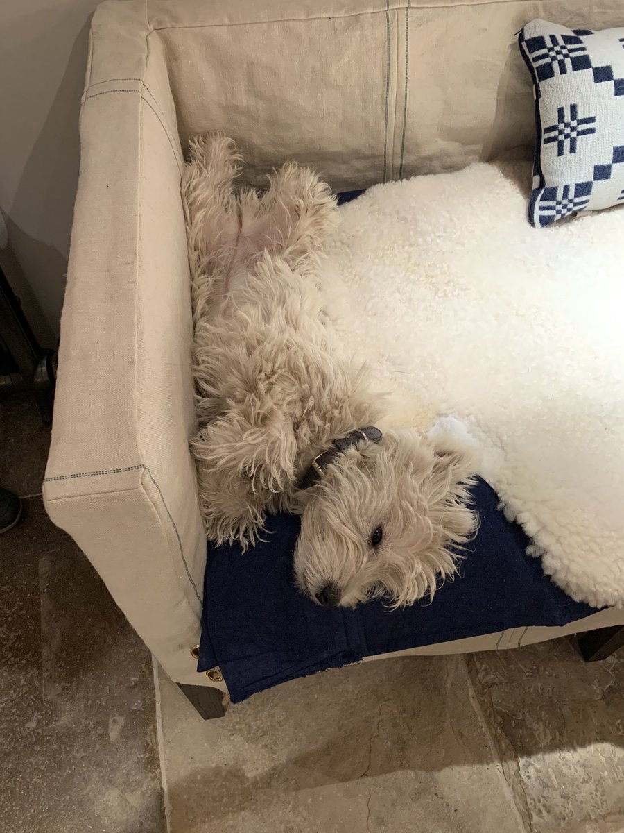 J.K. Rowling tweet media