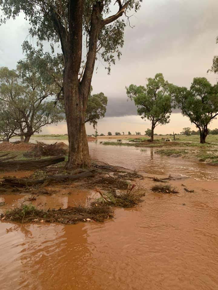 Remember the drought? 💧💧We have so quickly moved from one disaster to another. Let's take a moment to smile at the 50mm of rain that just fell in one hour, in Forbes NSW. 📷 Jenny Morrison (local farmer - not the PM's wife 😉)