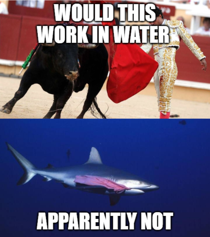 OceanScenic's tweet photo. Something was just never meant to be... #Shark #Ocean #donttrythisathome https://t.co/dZZQPCfzSk