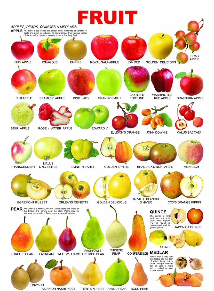 greenhealthy5's tweet photo. #Fruits #healthyFood https://t.co/qyDsZjmJUl