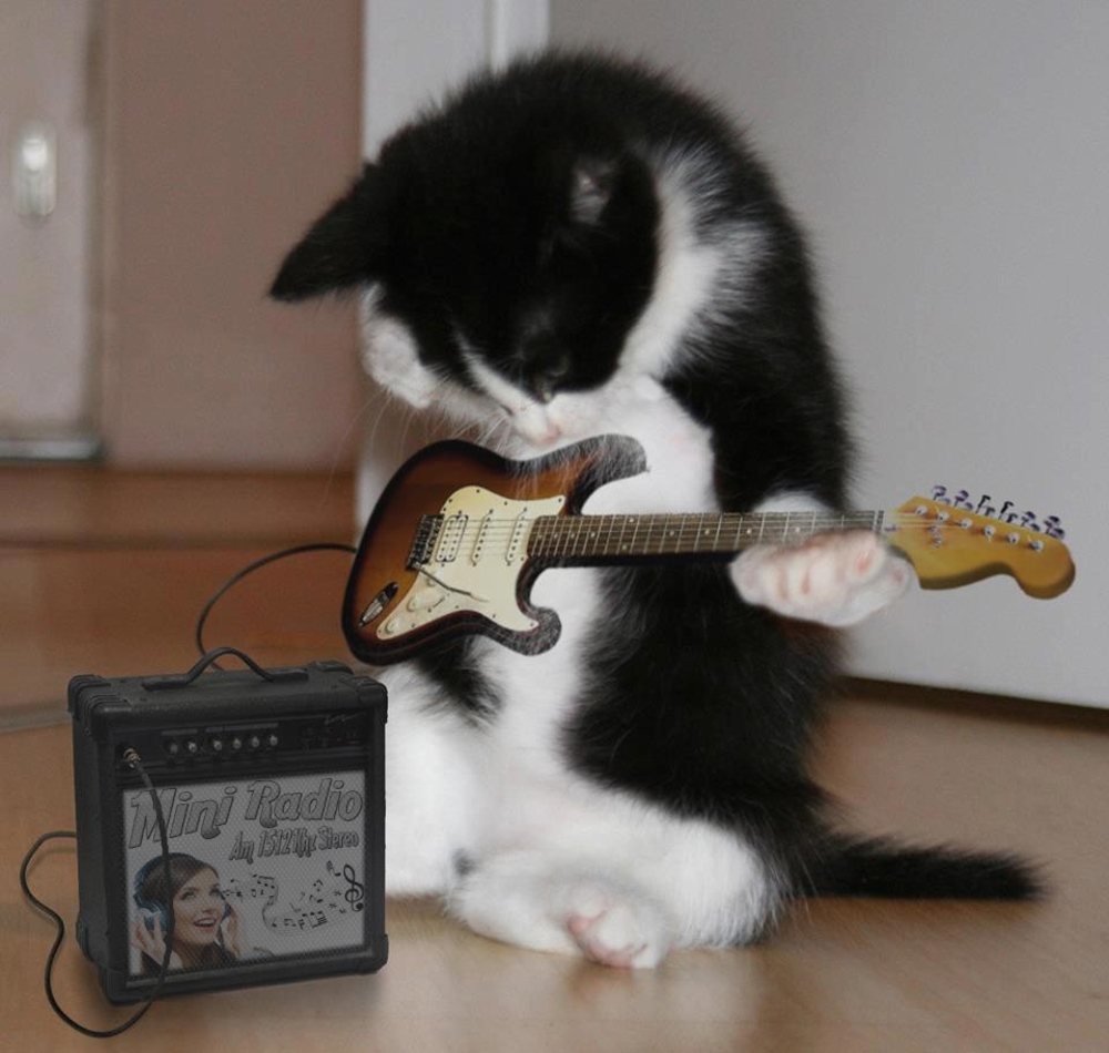 MiniRadio1's tweet image. Da noi suonano solo grandi Artisti... 😁