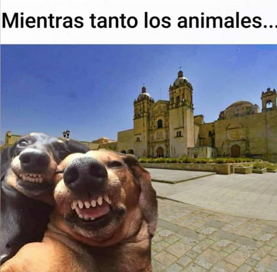 ℭervantes 2.0 tweet media