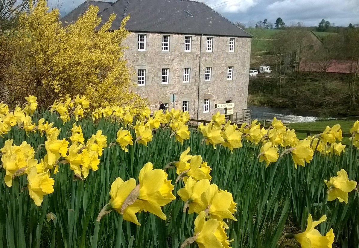 FordandEtal's tweet image. Although you can't visit at the moment we thought we'd share some springtime pictures for you to enjoy.