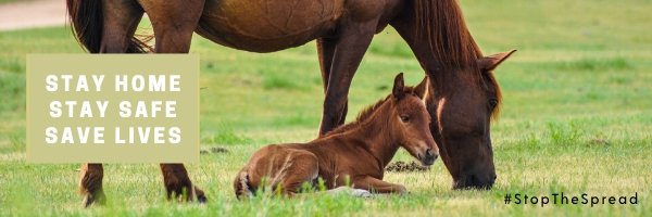 justchaps's tweet image. Staying Safe At This Difficult Time - mailchi.mp/justchaps.com/…